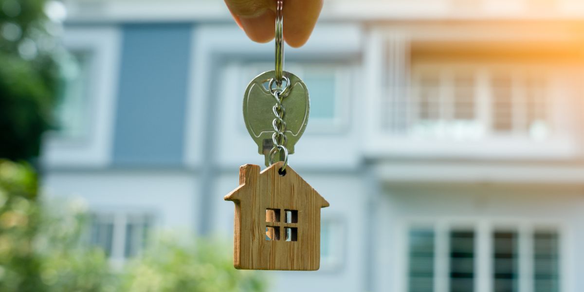 Why Should I Hire a Property Dealer Near Me Instead of Searching Online?